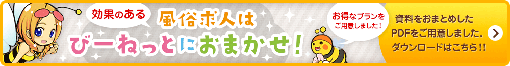 求人掲載の詳しい資料をpdfでダウンロードする