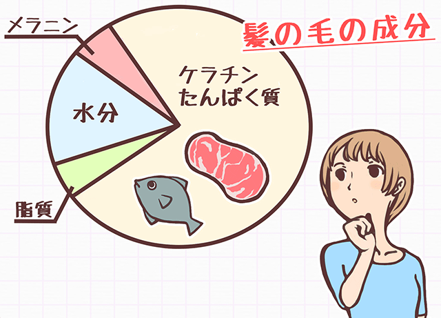 風俗嬢必見の髪の毛の成分を接種して美髪を手に入れよう