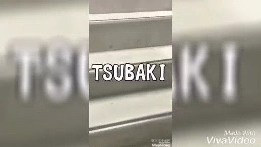 YESグループ水戸　TSUBAKI アピールポイント!!動画