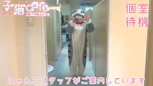 桃色☆めぃぷるシロップ  待機室動画