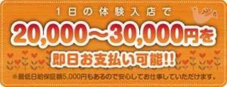 ショップ名の求人・体入情報
