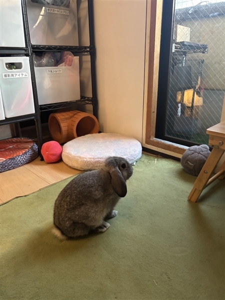 ショップ名の求人・体入情報