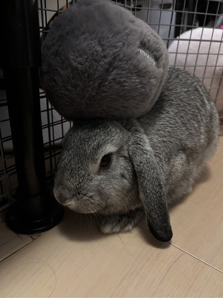 ショップ名の求人・体入情報