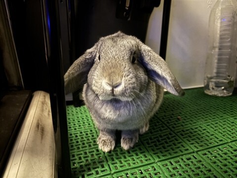 ショップ名の求人・体入情報