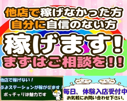 ショップ名の求人・体入情報