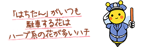 駐車場あり