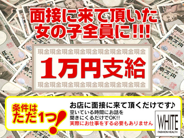 WHITE の求人
