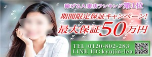 藤沢人妻城の求人情報