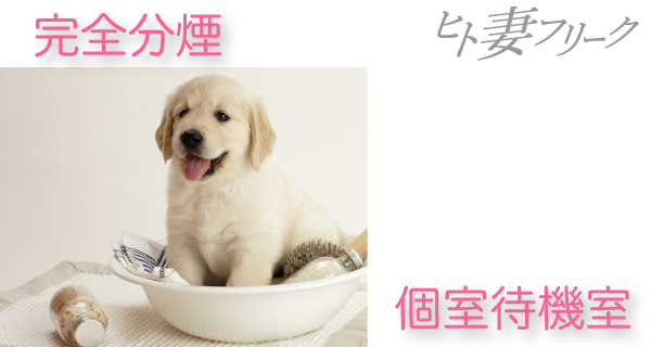 小画像2
