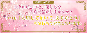 さくら　川崎店の求人情報