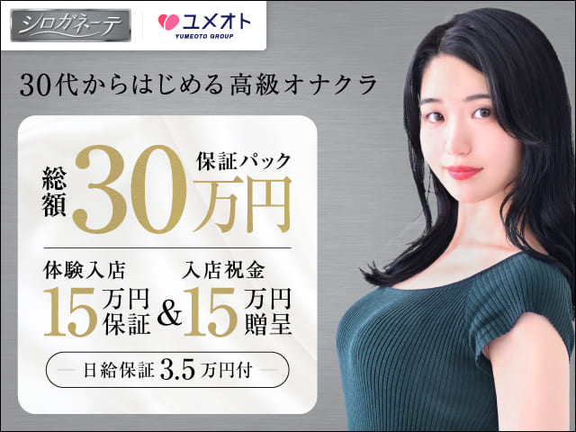 シロガネーテの求人
