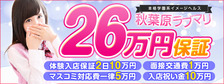秋葉原ラブマリの求人