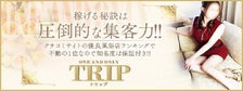 TRIPの求人