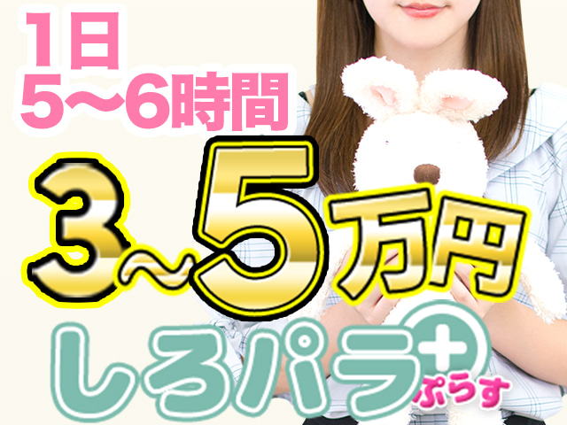しろパラ＋（プラス）の求人