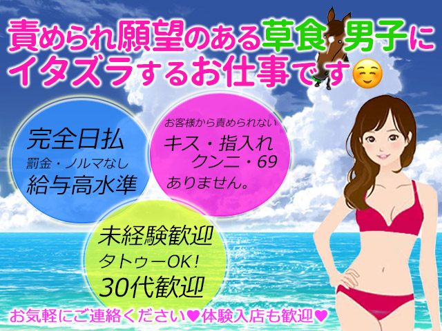 小悪魔な誘惑痴女の求人