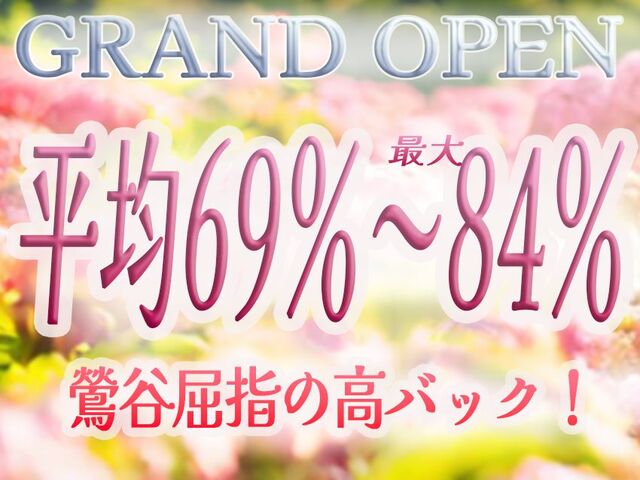 上野鶯谷デリバリーヘルスセカンドワイフの求人