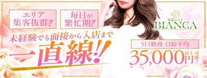 性感エステBianca新大阪店の求人情報