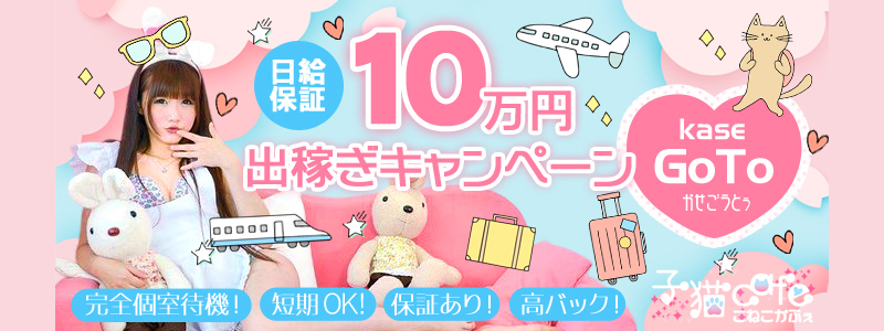 子猫カフェの即日体験入店OK求人