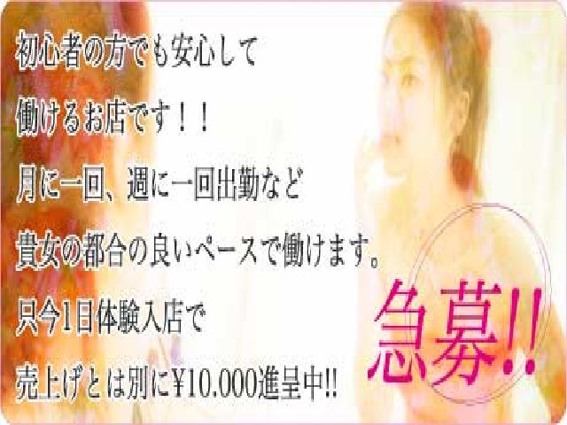 昼下りの秘め事の求人