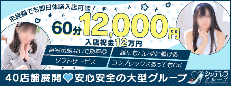 西川口コスプレメイド学園(シンデレラグループ)の求人