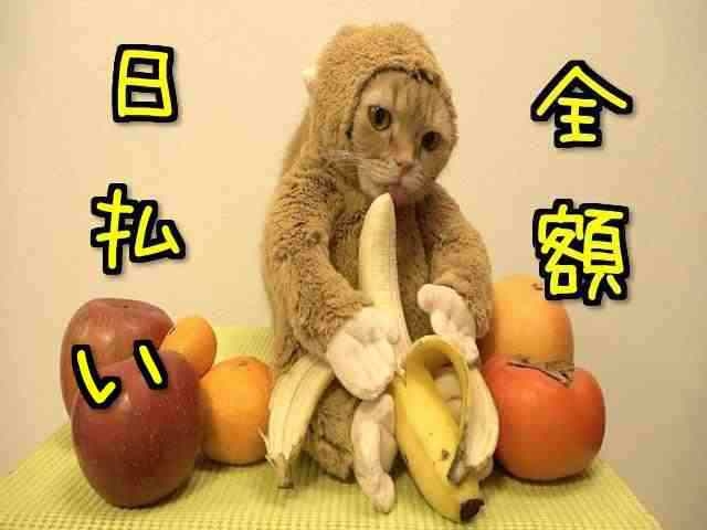 履歴書不要！
