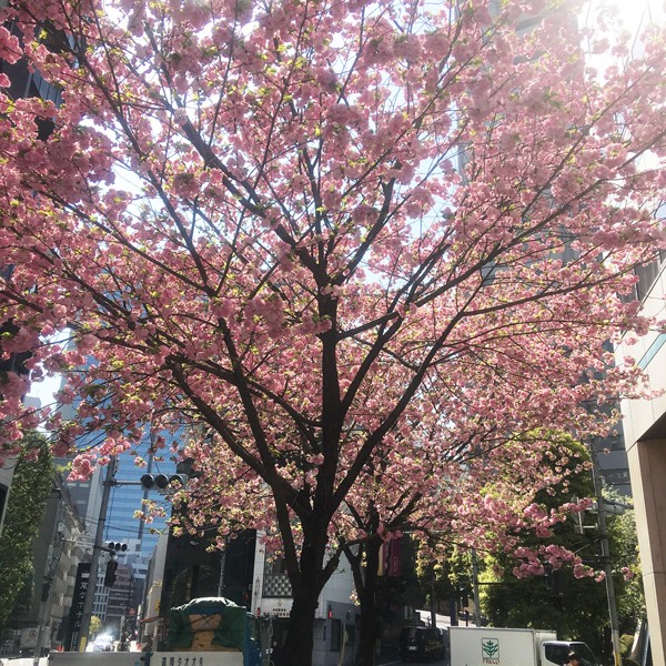 回転率の良さご体感ください！！！