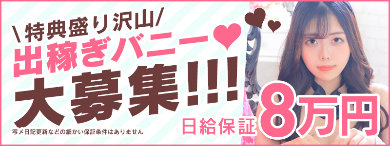 ドMなバニーちゃん すすきの店の出稼ぎ求人