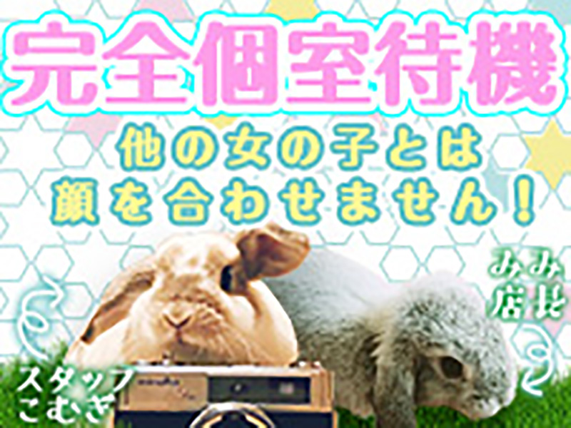 煩わしい人間関係は一切なし！！