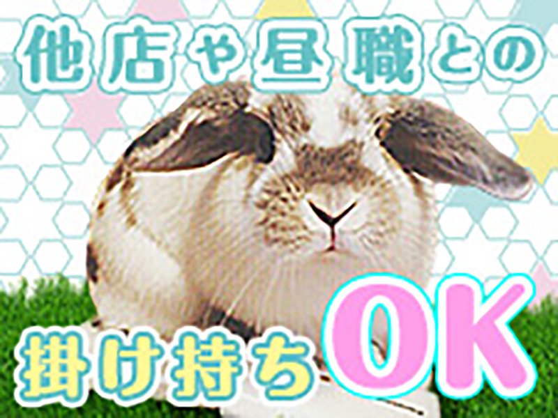 当店の女の子のほとんどが掛け持ちです！