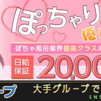 白いぽっちゃりさん新橋店