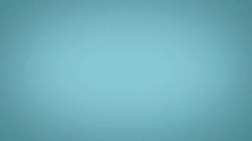 女の子にインタビュー♪の動画