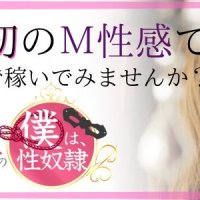 縛られた僕は、極上な痴女たちの性奴隷