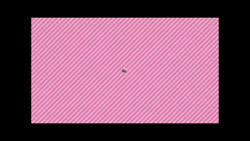 いつ出勤しても忙しく働ける！未経験スタートでも不安にならないの動画