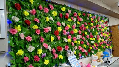 お洒落な店内