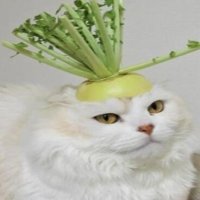 よくばりトロリッ痴-フェチなM性感ヘルス-神戸店