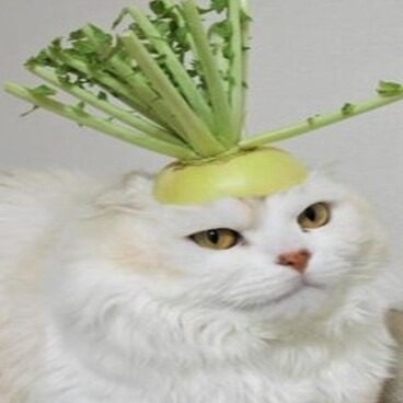 金子