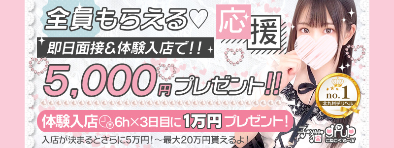 子猫カフェの即日体入求人