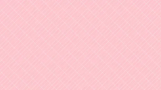 今なら100万円保証パック付き！の動画