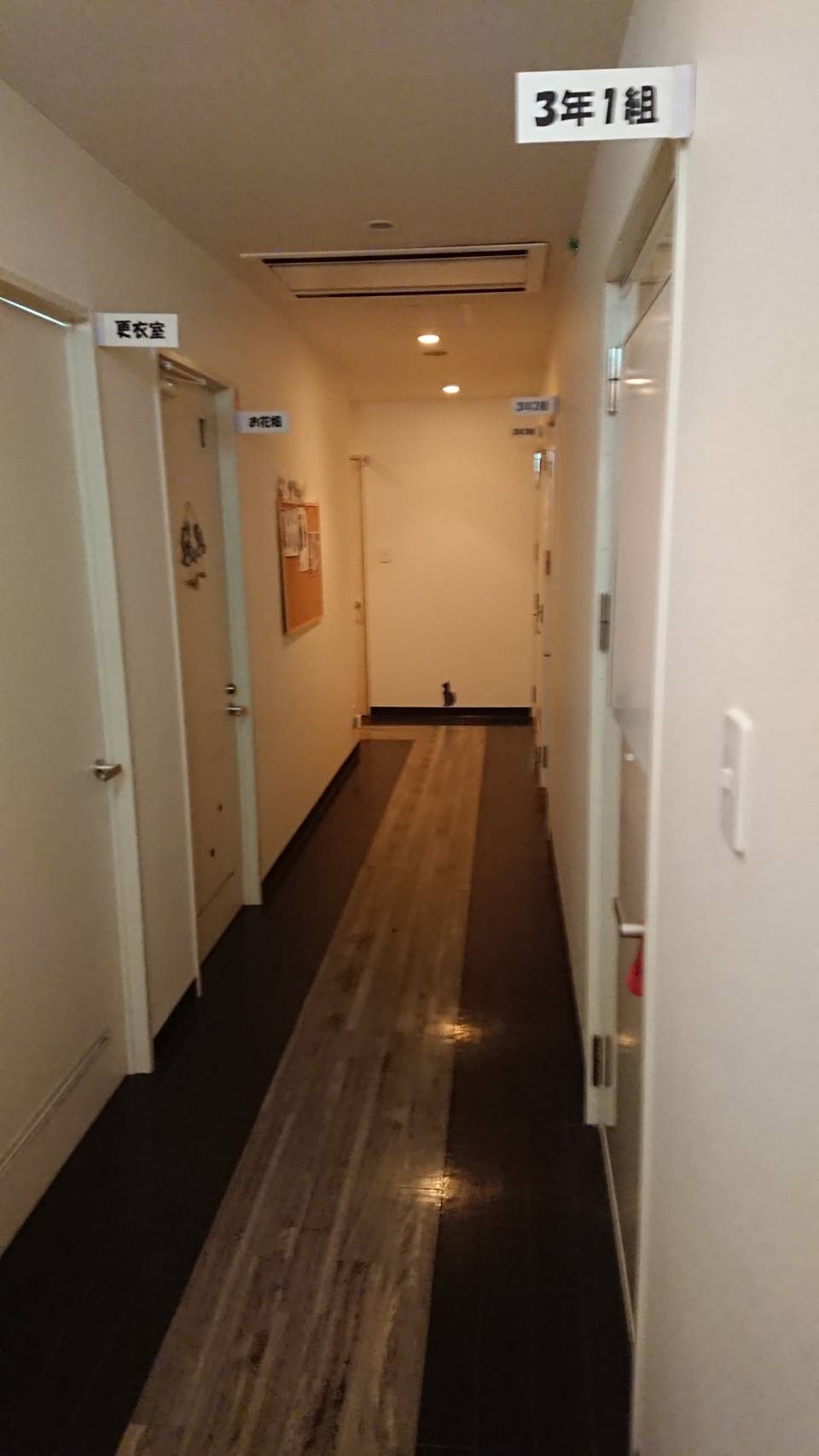 店内通路になります