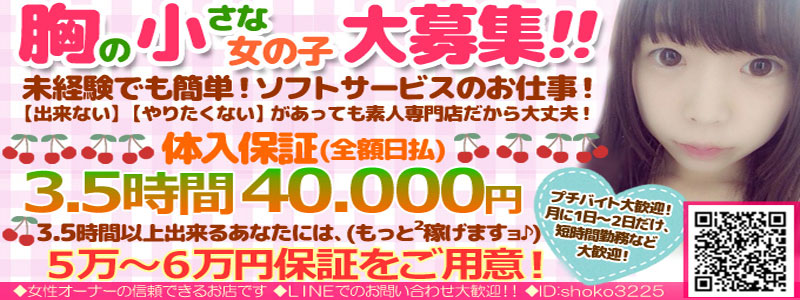 貧乳パラダイス