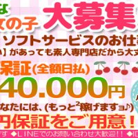 貧乳パラダイス